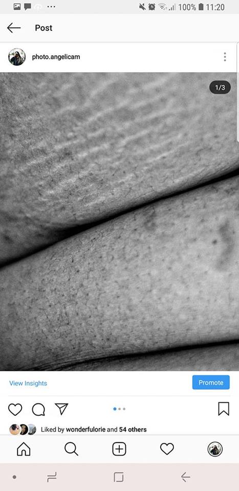 48411088_10212280572911971_6117343441773920256_n